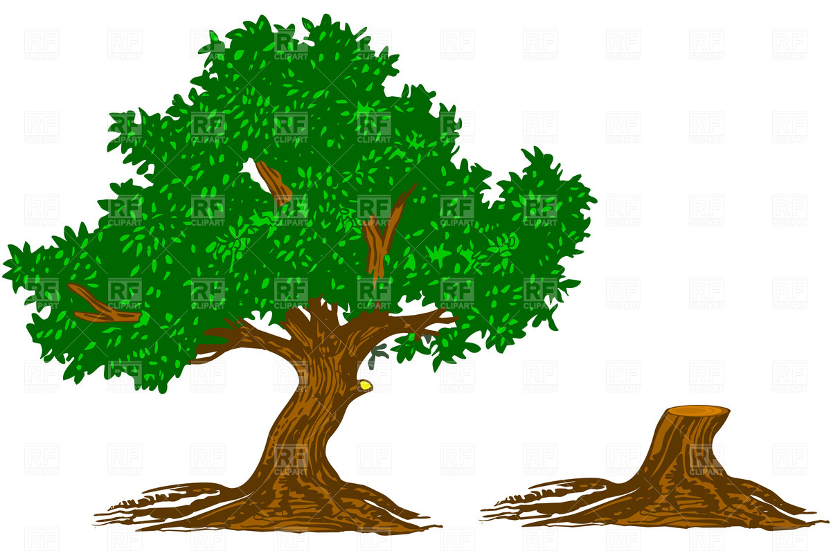 19 Free Tree Vector Art Downloads Images