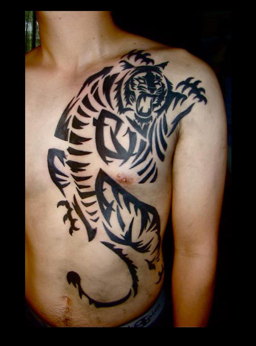 Tribal Tiger Tattoo Designs