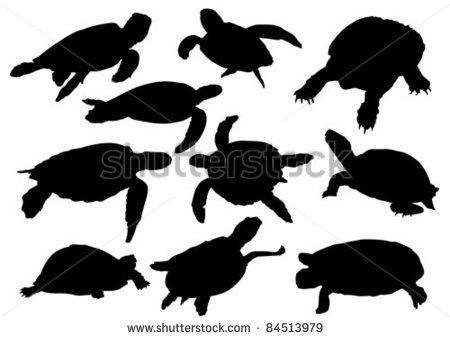 Turtle Silhouette Clip Art