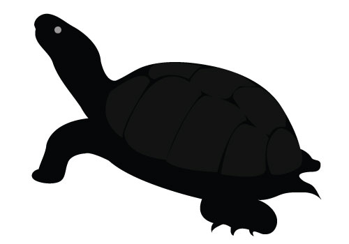 Turtle Silhouette Vector