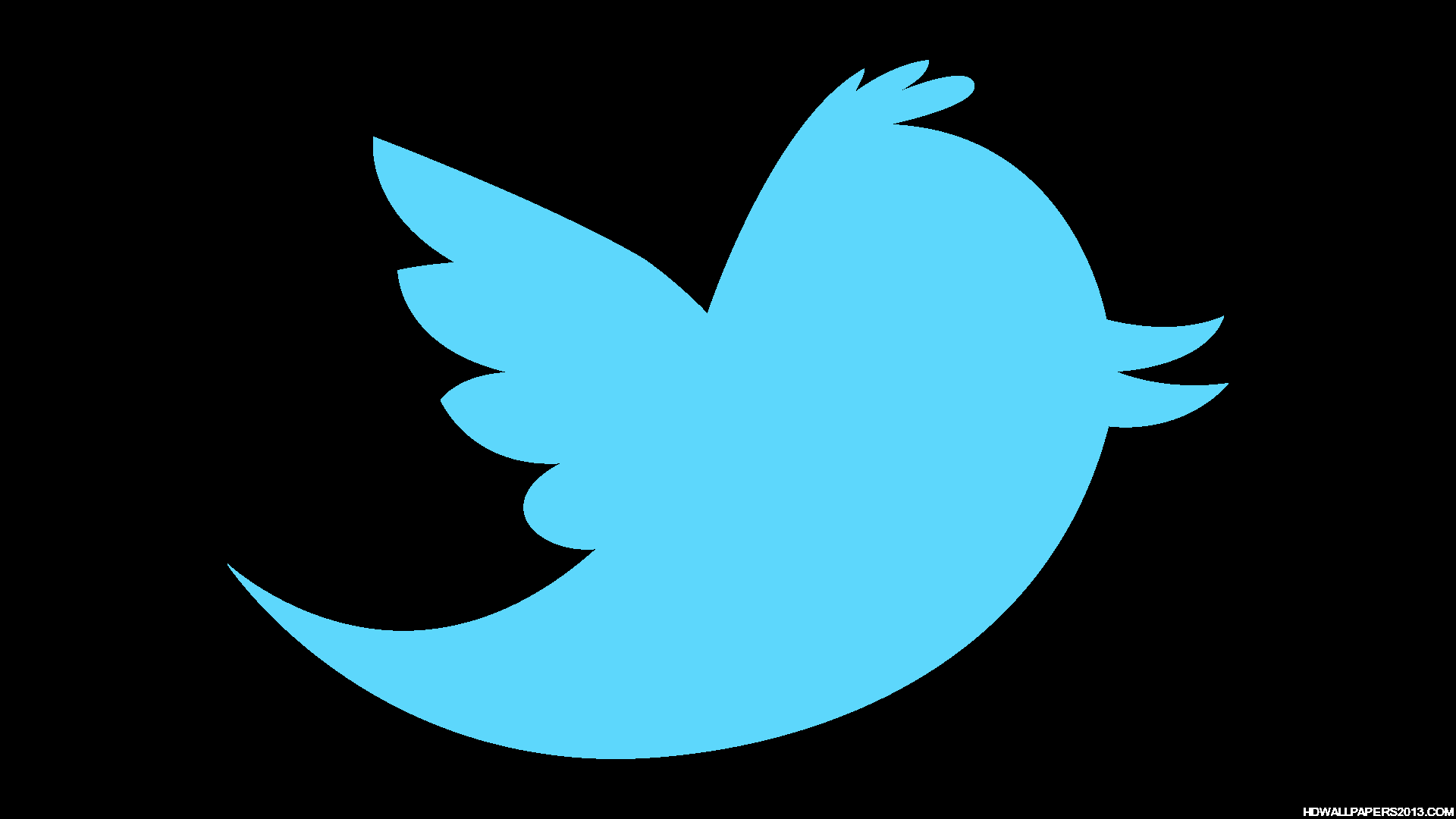 Twitter Icon Transparent