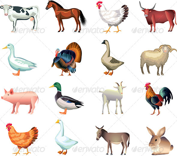 Vector Farm Animals