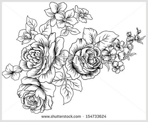 Vintage Black and White Flower Drawings