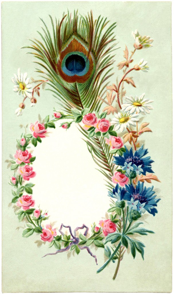 Vintage Peacock Feather Frame Vintage Peacock Feather Frame