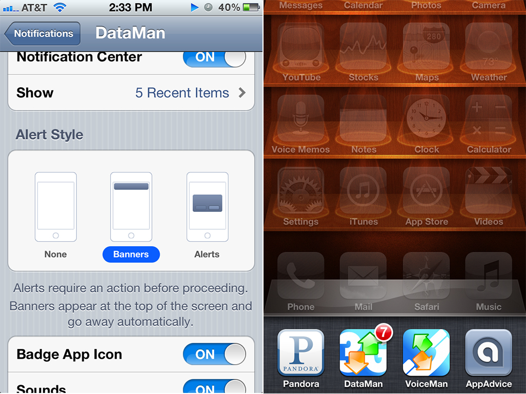 What Is Badge App Icon in iPhone Settings