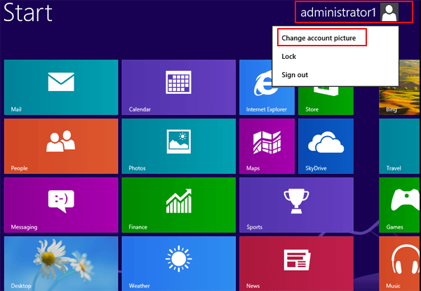 Windows 8 User Account Icon