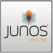 Windows Junos Pulse Icon