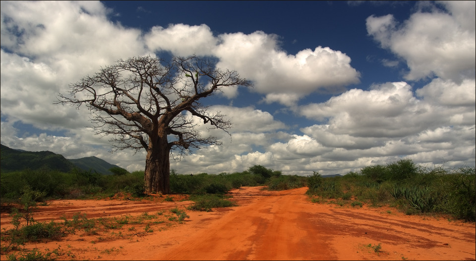 Africa Landscape