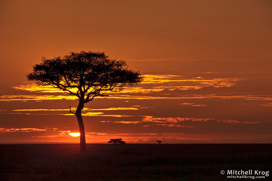 African Landscape Sunrise