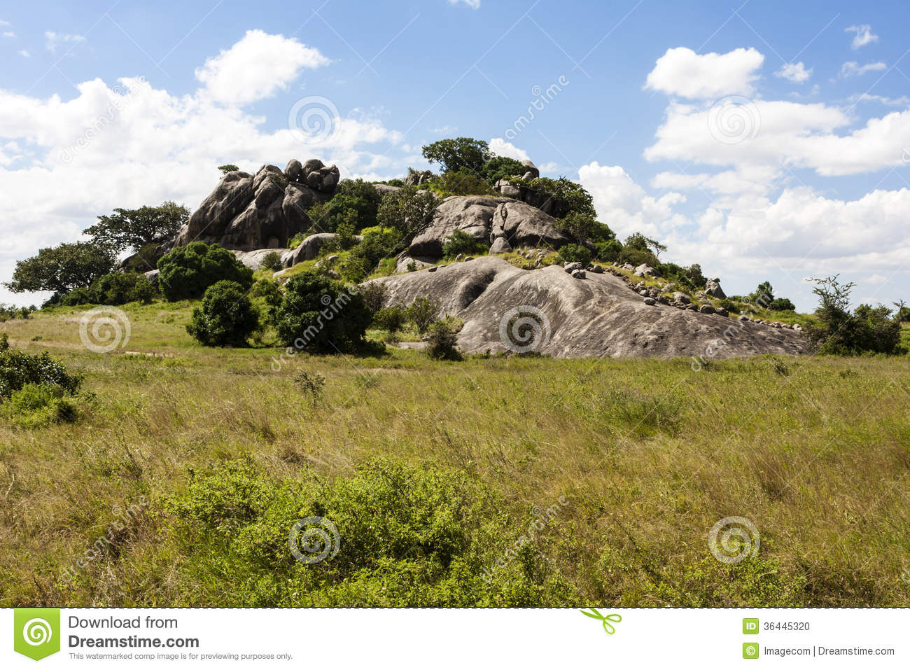 African Landscape