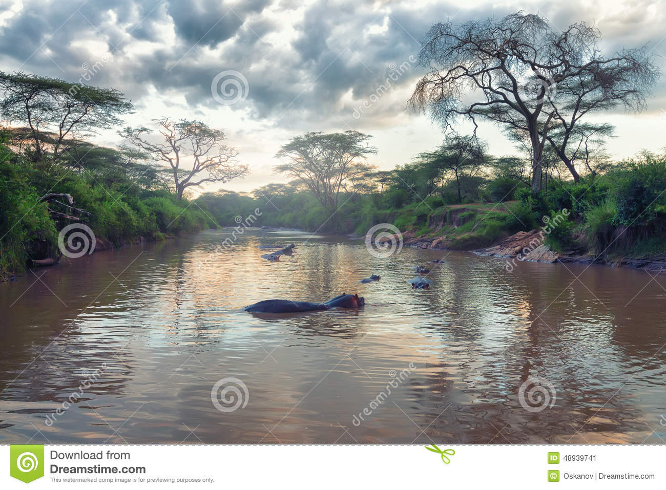 African River Landscape