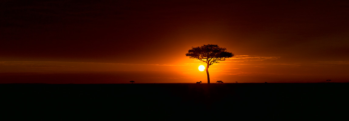 African Wildlife Photography Landscapes