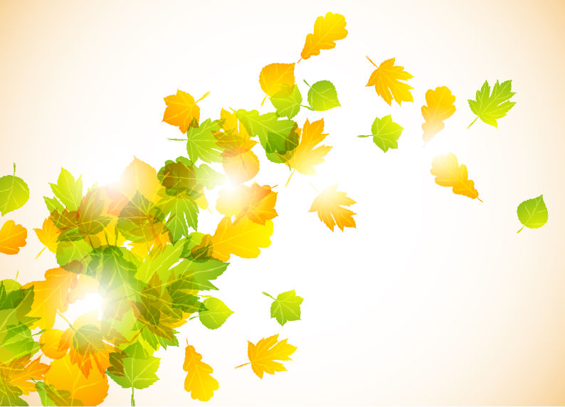 Autumn Leaves Vector