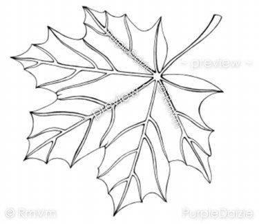 Autumn Maple Leaves Coloring Pages Printable