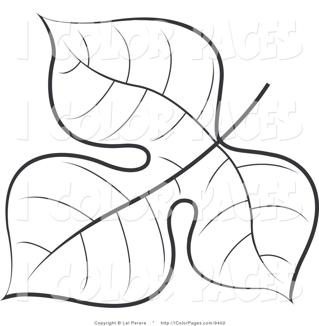 Black and White Leaf Coloring Page