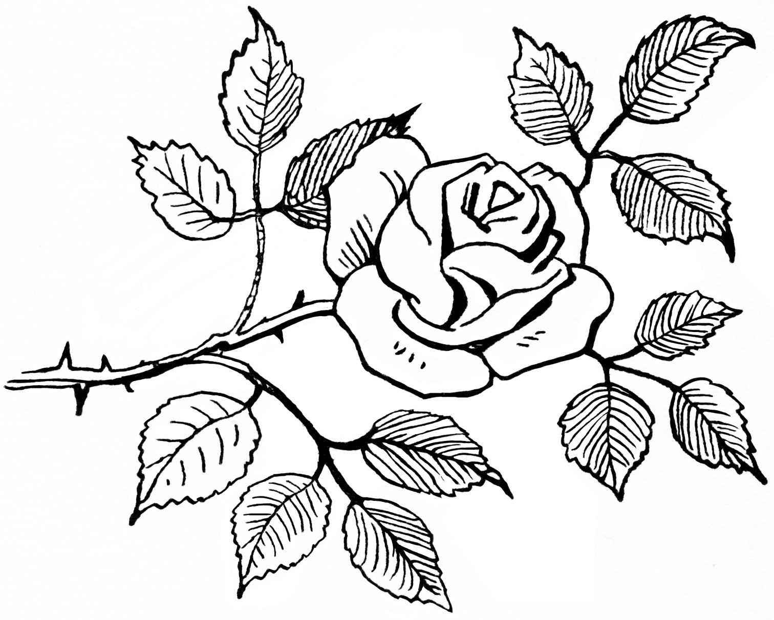 Black and White Rose Clip Art