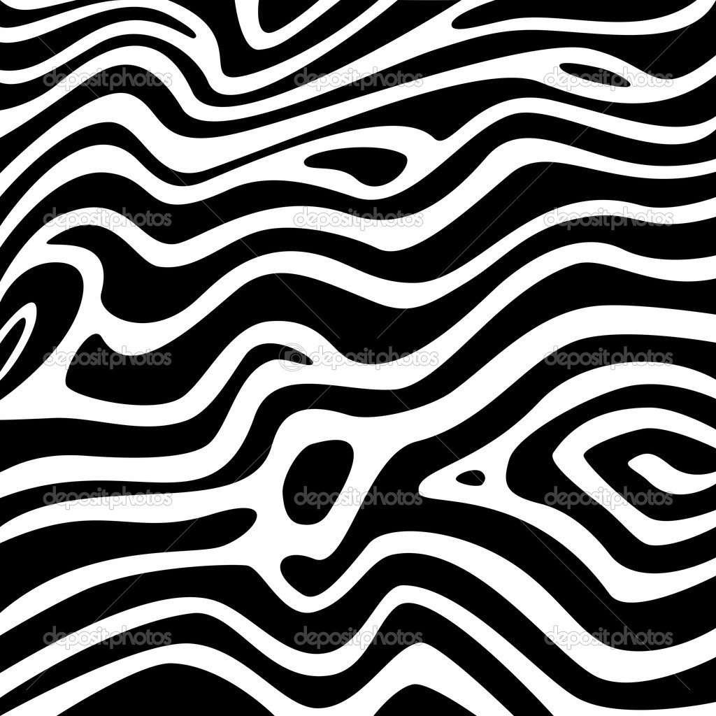 Black and White Zebra Texture