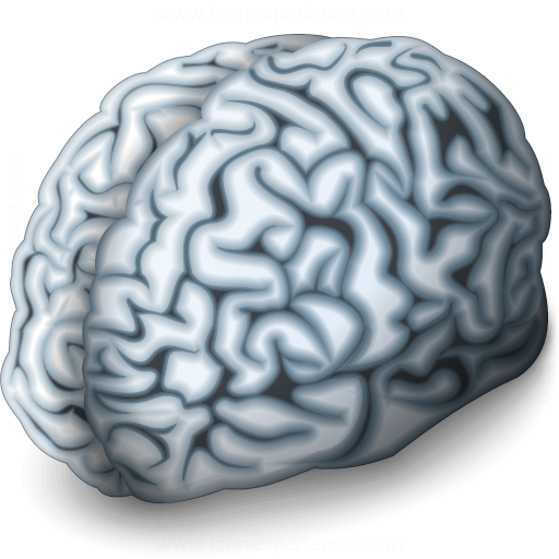 Brain Icon