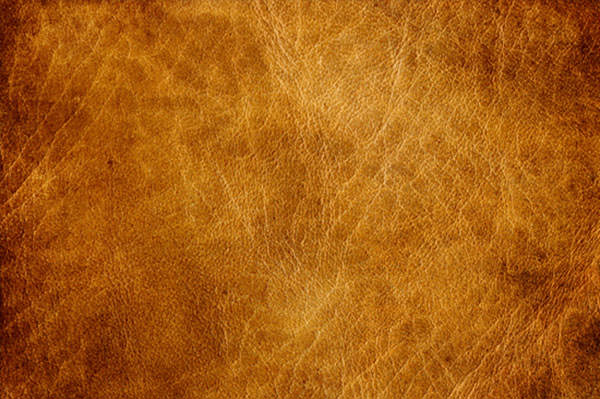 Brown Leather Texture