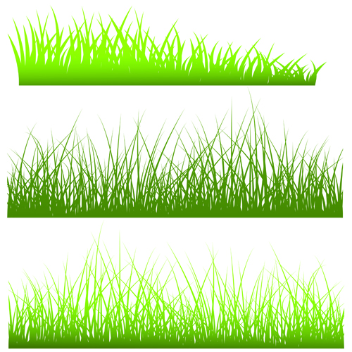 Cartoon Grass Vector