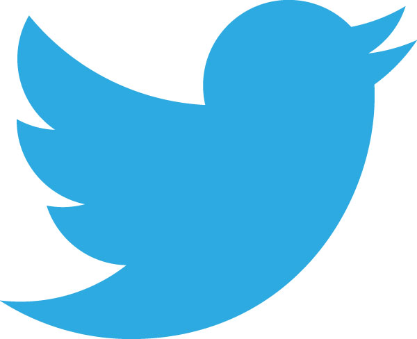 Download Twitter Logo.png