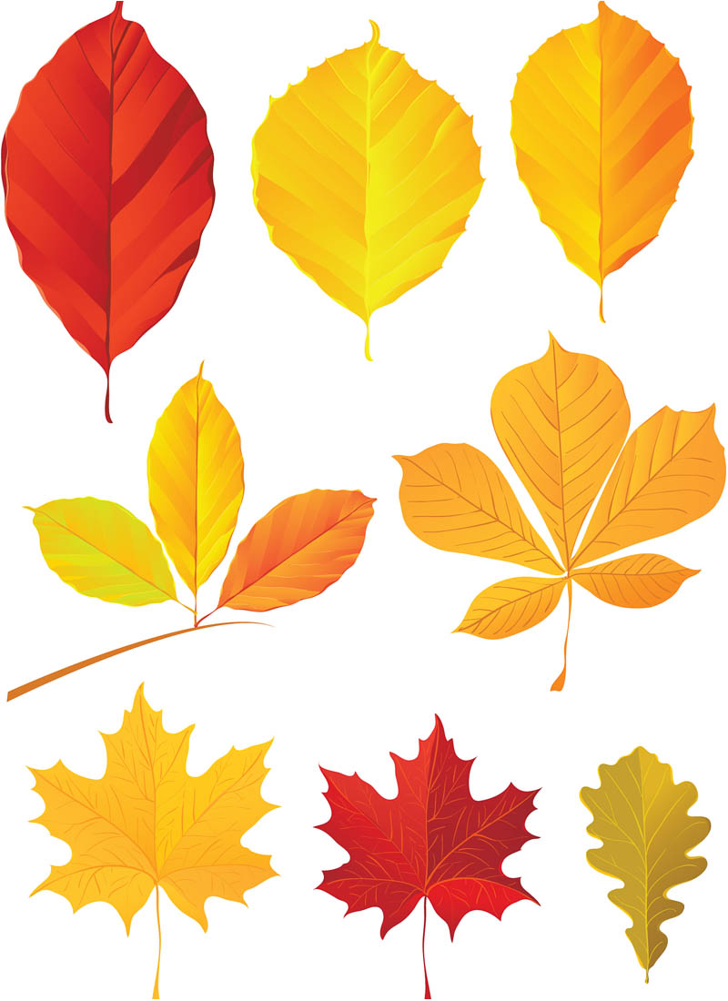 Fall Leaves Clip Art