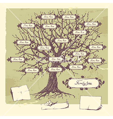 13 Family Tree Vector Graphics Images