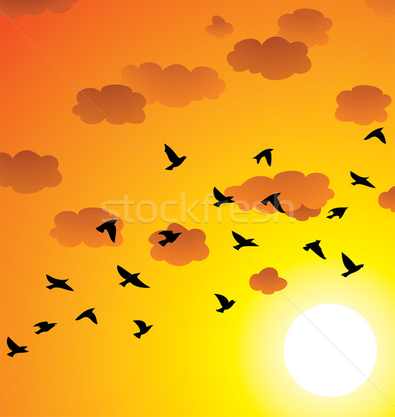 Flock of Birds Vector