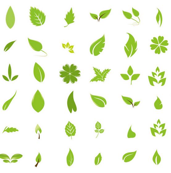 Free Vector Leaf