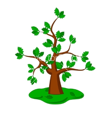Free Vector Oak Tree Free Vector Oak Tree