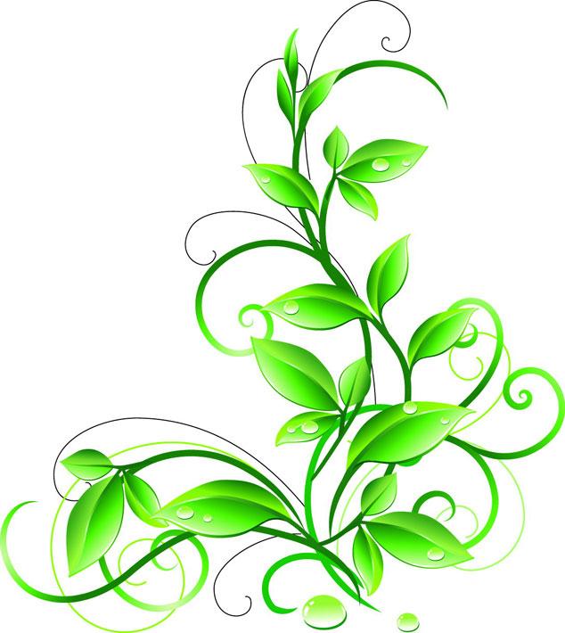 Green Leaf Floral Clip Art