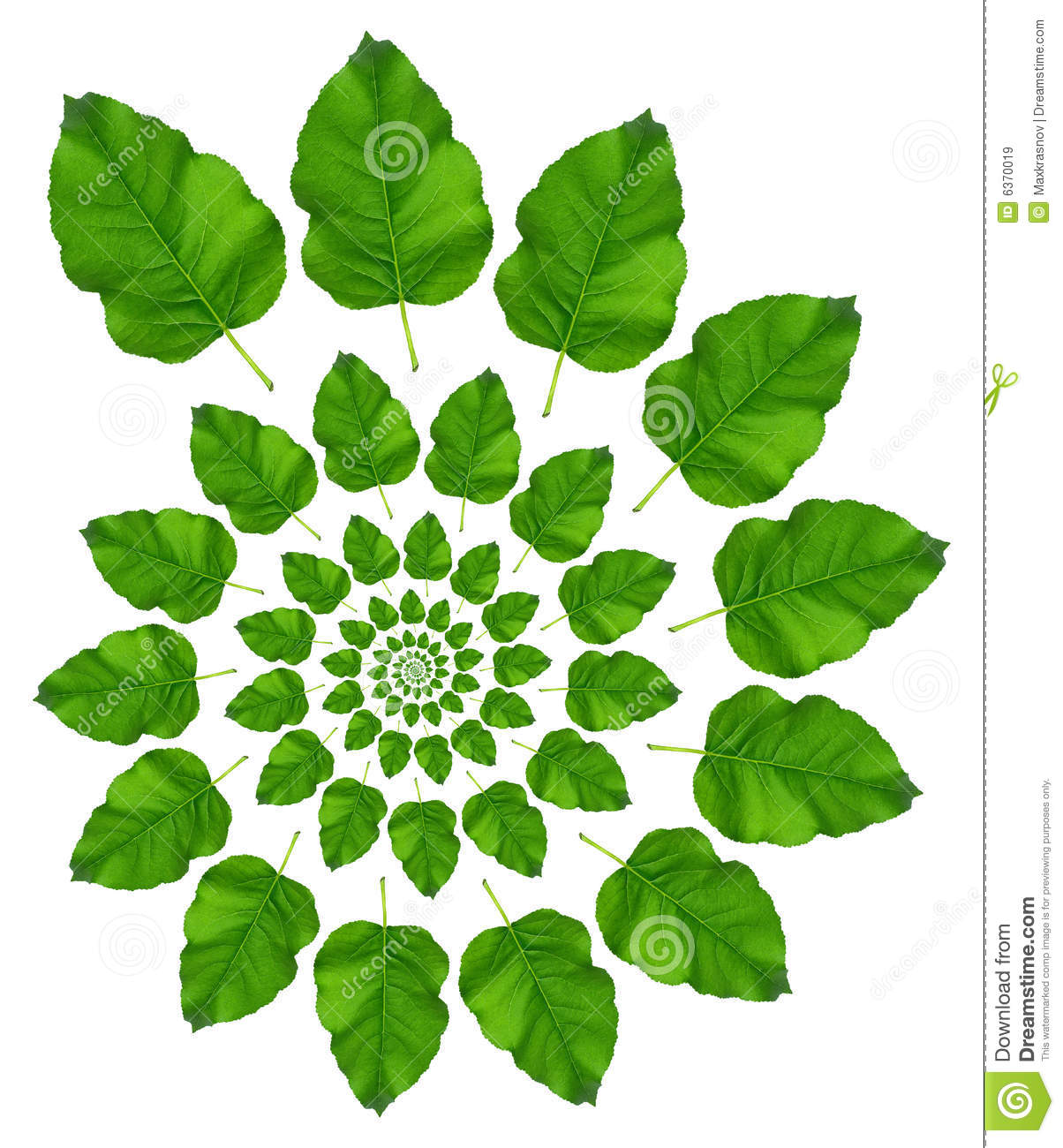 Green Leaf Pattern