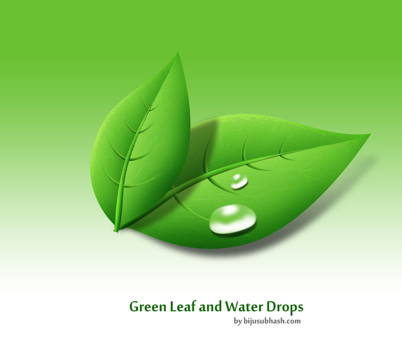 Green Leaf Water Drop Logo