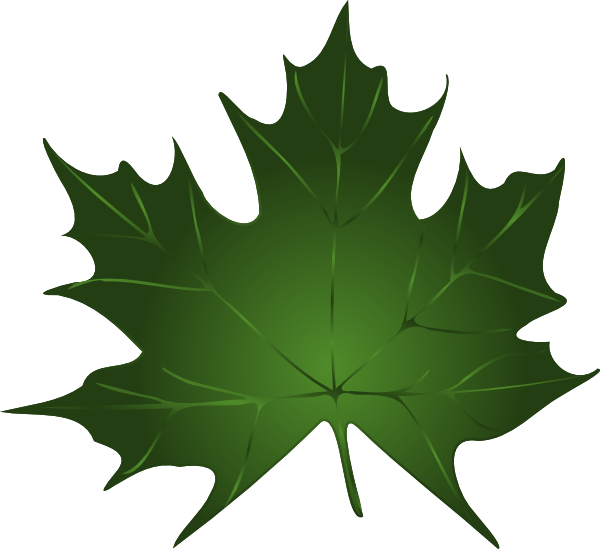 Green Maple Leaf Clip Art