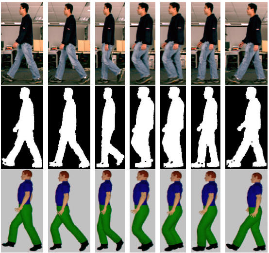 Human Walking Motion