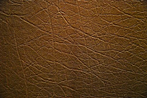 Leather Texture