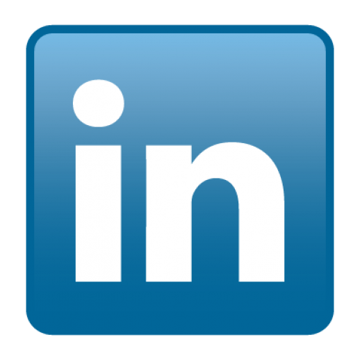 LinkedIn Logo Icon