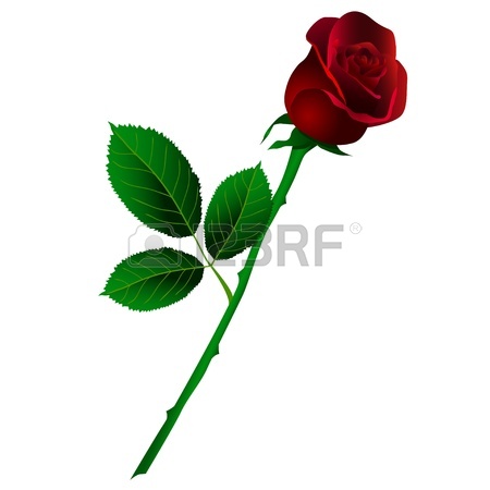 Long Stem Red Rose Clip Art