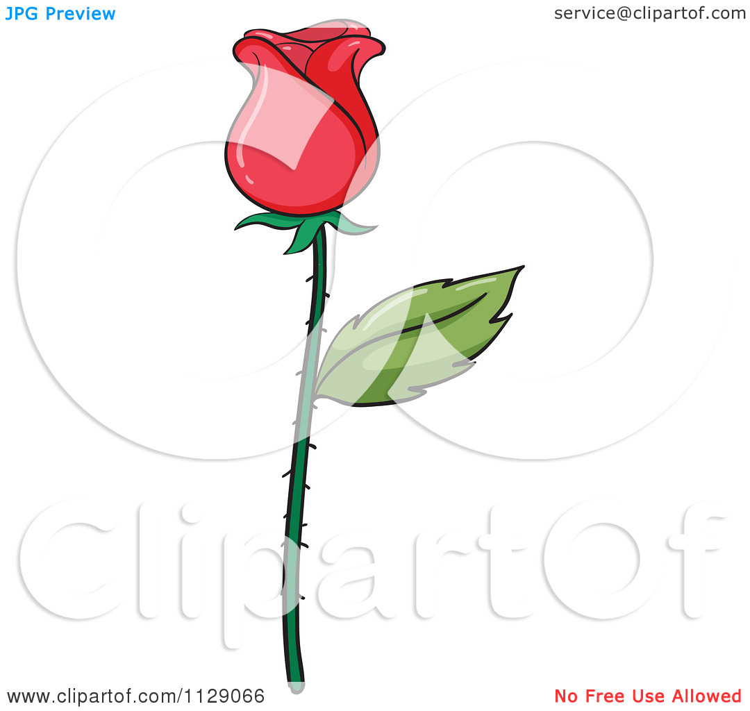 Long Stem Rose Cartoon