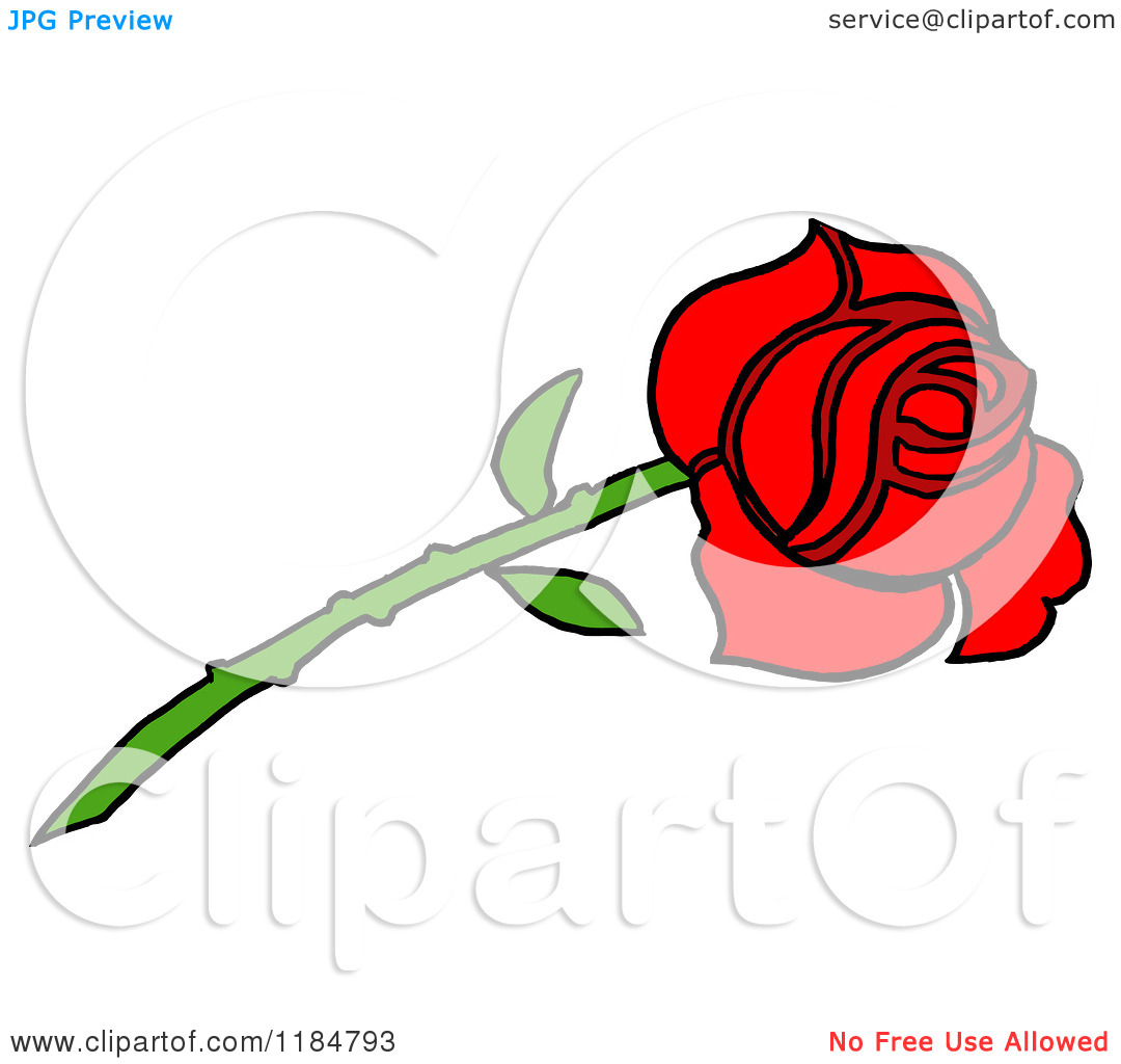 Long Stem Rose Cartoon