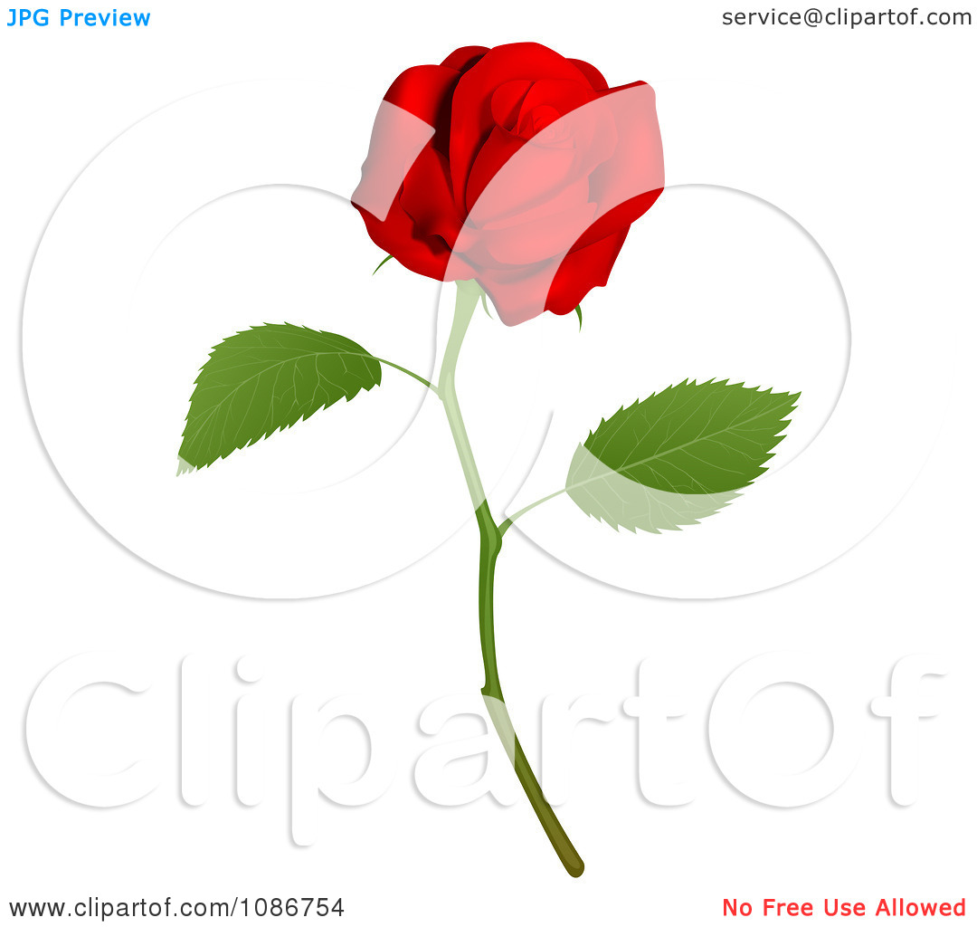 Long Stem Rose Clip Art