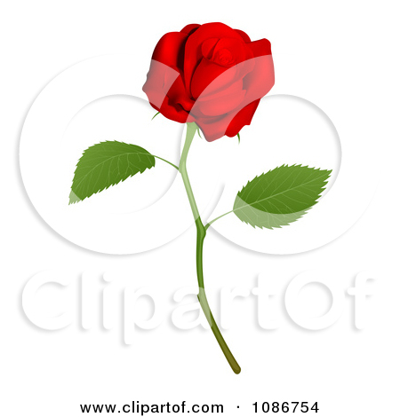 Long Stem Rose Clip Art