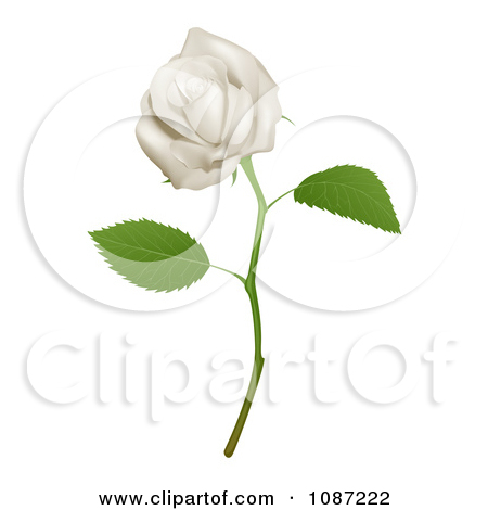 Long Stem Rose Clip Art