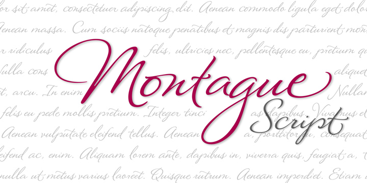 Montague Script Font Free Download