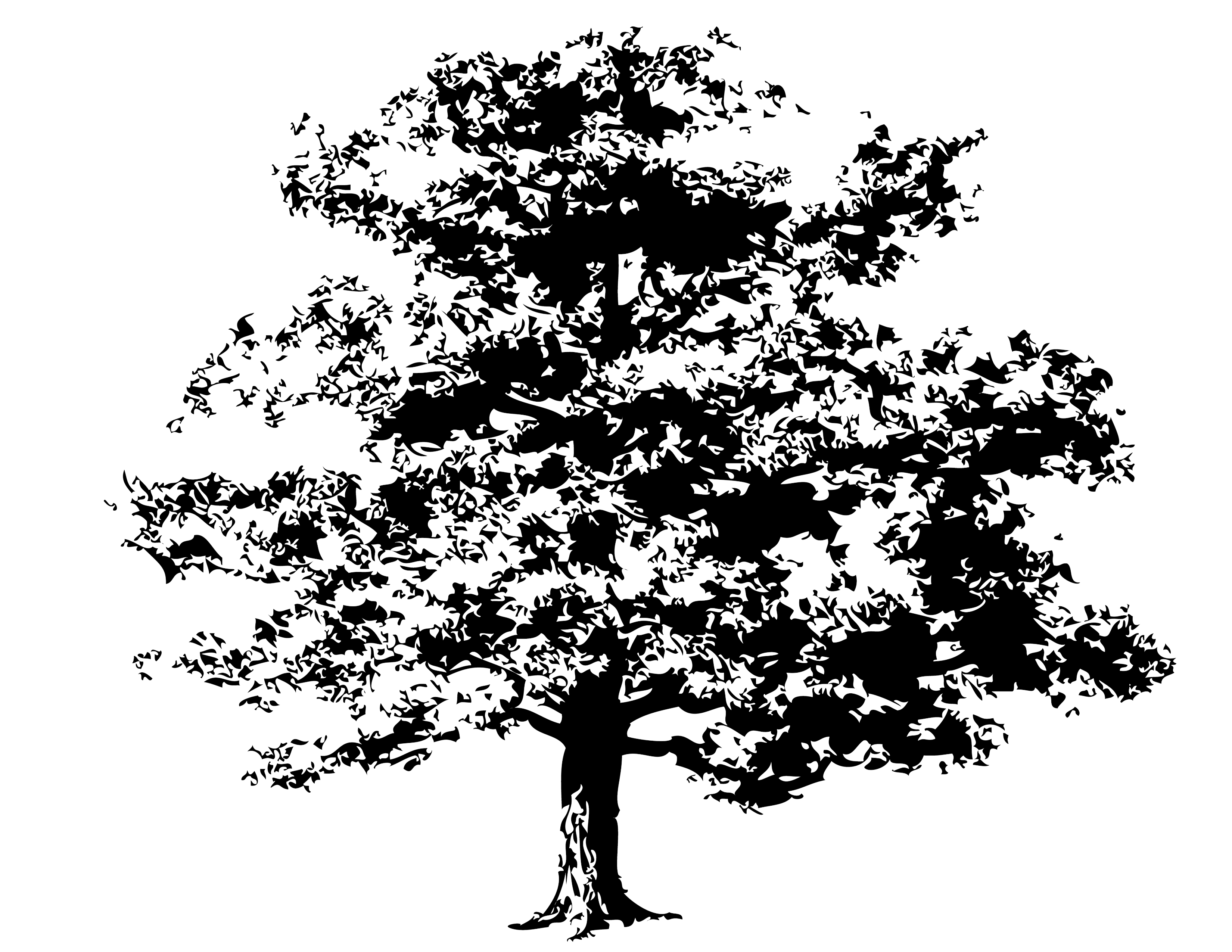 Oak Tree Logo Clip Art