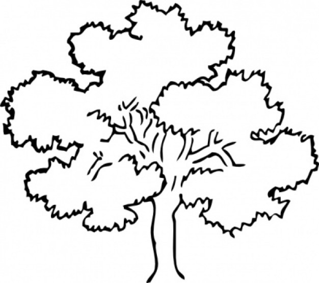 Oak Tree Outline Clip Art