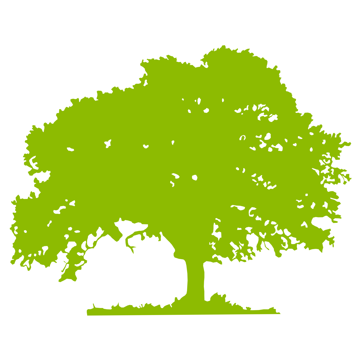 Oak Tree Silhouette Vector Free