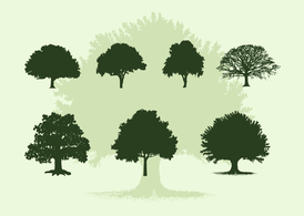 Oak Tree Silhouette Vector Free