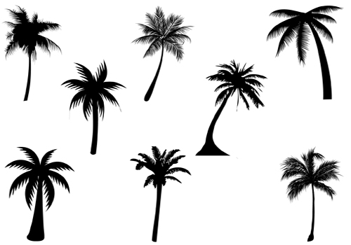 Palm Tree Silhouette Vector