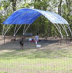 PVC Pipe Shelter Plans